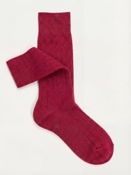 Fucsia